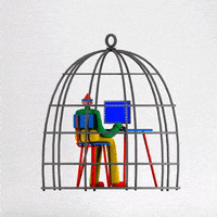 Home Office Bird GIF by Juan Billy