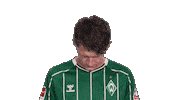 Werder Bremen Stage Sticker by Bundesliga