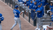 Blue Jays Baseball GIF by Toronto Blue Jays