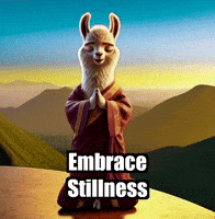 Wisdom Serenity GIF by dalaillamazen