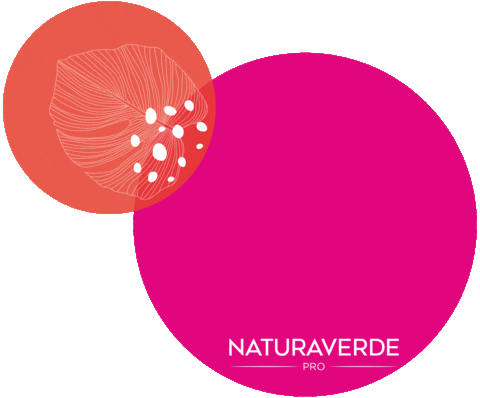 Estetica Ambassador Sticker by Wellink