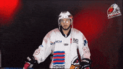 La Roche Sur Yon Nolan GIF by Hockey Glace Yonnais
