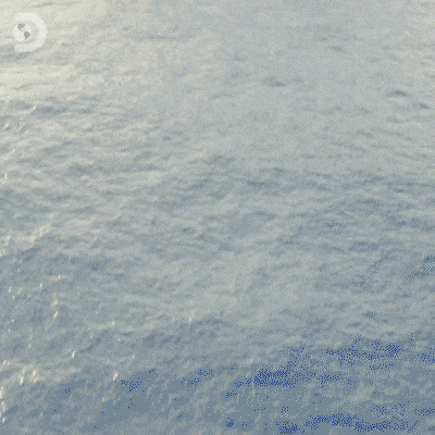 dustuncan giphyupload GIF