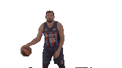 Bouncing Liga Endesa Sticker by ACB