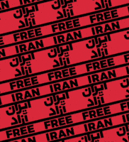 Peace Iran GIF by Cup of Color