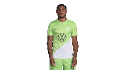 Oh No Football Sticker by VfL Wolfsburg