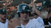 baseball wave GIF by GreenWave