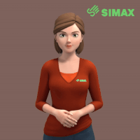 international sign GIF by signtime