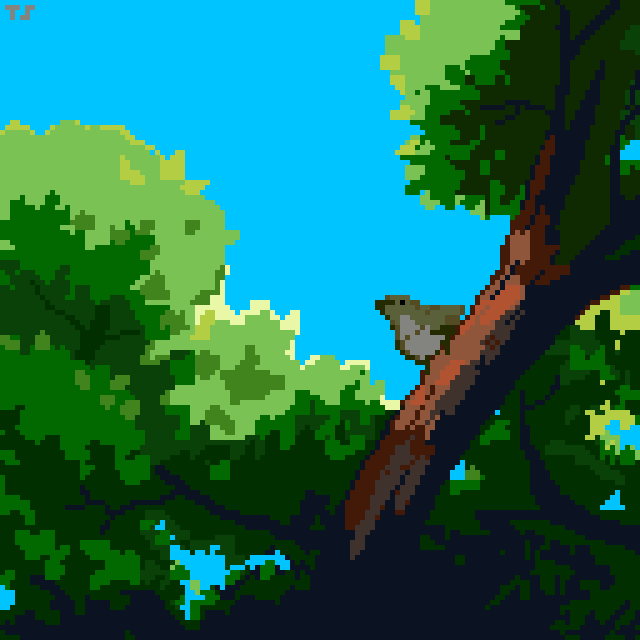 schiptimmer giphyupload GIF