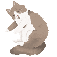 Cat Kitten Sticker by petall
