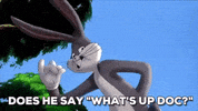 GIF by Space Jam
