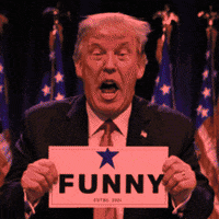 Trump Trumpfunny GIF by Gallery.fm