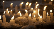 fire candle GIF