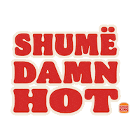 burgerkingkosova burgerking kingburger kingburgerkosova burgerkingkosova Sticker