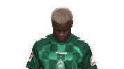 Look Up Werder Bremen Sticker by Bundesliga
