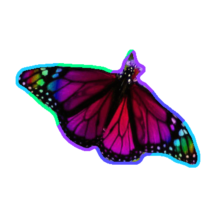 butterfly Sticker