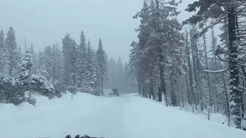Snow Plow Clears the Road During Heavy Falls in California's Lassen National Park