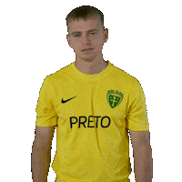 Football Soccer Sticker by Fortuna Liga