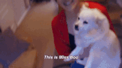 britainsnexttopmodel GIF by Lifetime Telly