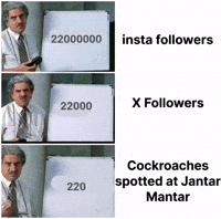 Trending Cockroach GIF
