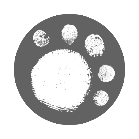 bear paws Sticker by BearHugsGifts