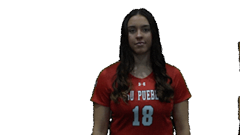 CSUPwLax giphyupload csup csupwlax gopack gopacklax Sticker