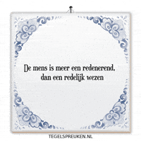 Wijsheid Analyse GIF by Tegelspreuken.nl