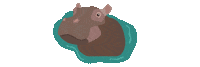 Happy Hippo Sticker by Cincinnati Zoo