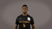 Division Ii Soccer GIF by Cal State LA Golden Eagles