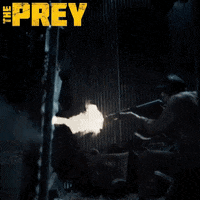 ravenbanner movie film movies fantasia GIF