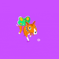 Animation Dog GIF