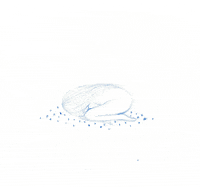 Wake Up Flowers GIF by Loreta