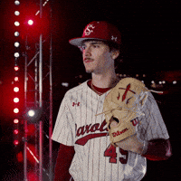 South Carolina Celebration GIF by Gamecock Athletics