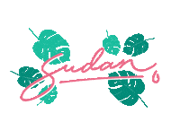Sudan Sudanfiesta Sticker by colordelsol
