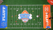 Hungry Football GIF by Puppy Bowl