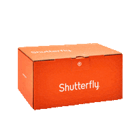 One Of A Kind Cardboard Box Sticker by Shutterfly