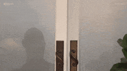 Arrive Walk-In GIF by The Traitors Australia