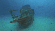 Philippines Wreck GIF by Seaquest Dive center