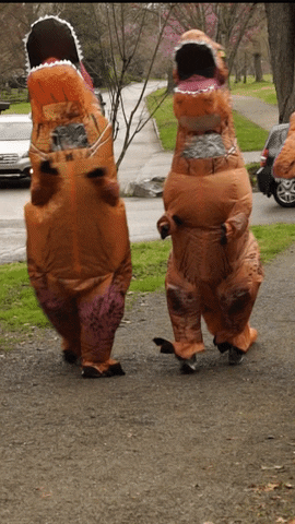 WBIR giphyupload GIF