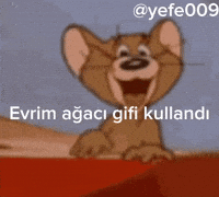 Mal GIF