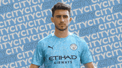 Premier League Football GIF by Manchester City
