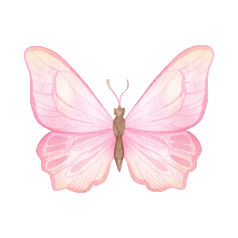 elistorycriativo butterfly elistorycriativo borboleta Sticker