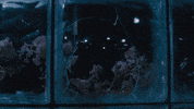 politics bugs GIF by CBS