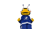 Ice Hockey Sport Sticker by NHL