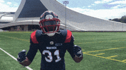 Montreal Alouettes Football GIF by Alouettes de Montréal
