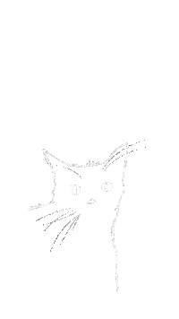 Black Cat Art Sticker by natscanfly