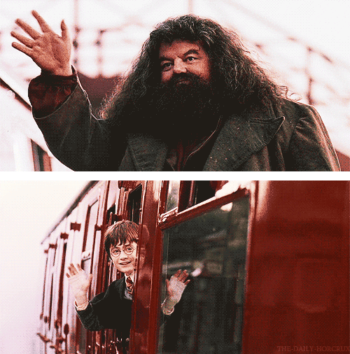 harry potter goodbye GIF