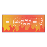 Drew Barrymore Sticker by FLOWER Beauty