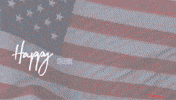 Memorial Day Trending GIF by Charli Gurl