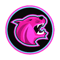 Pink Panthers Sticker by Berny Rodz